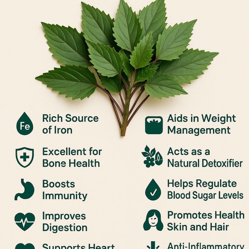 Top Health Benefits of Gongura (Sorrel Leaves) Gongura,