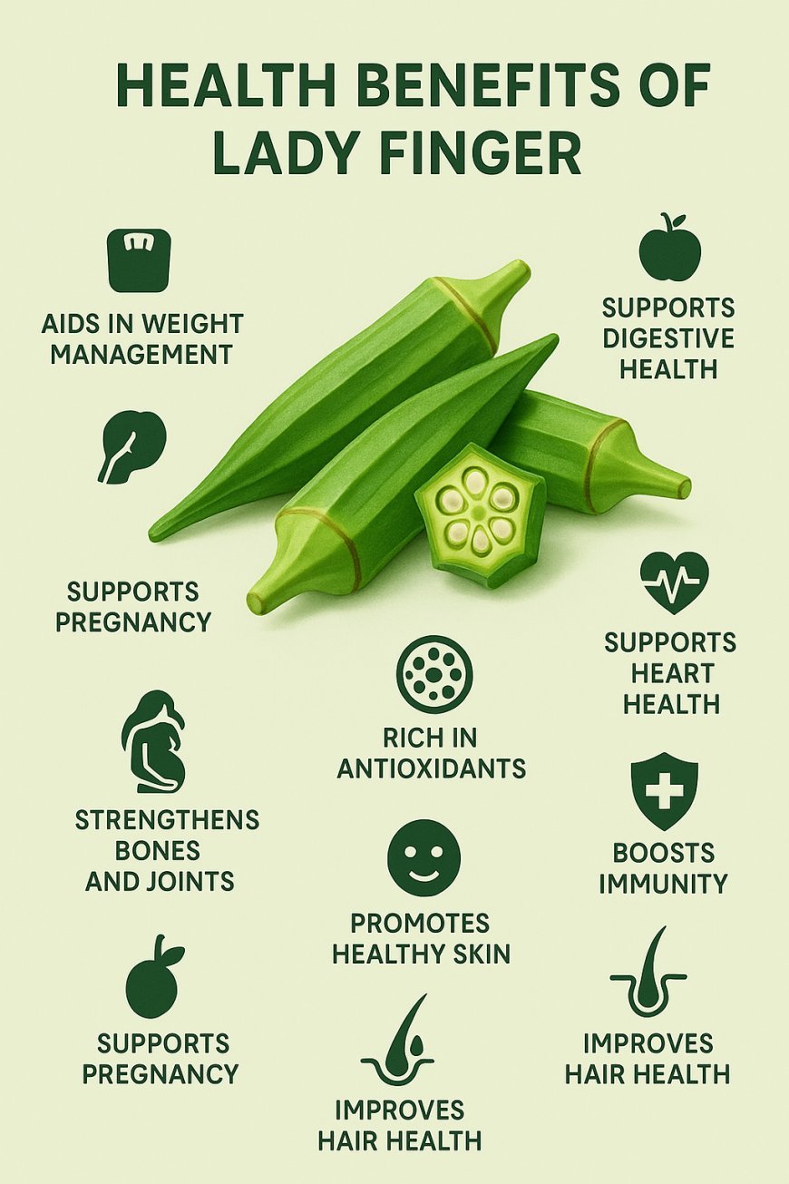 Lady finger, also known as okra, popular green vegetable
