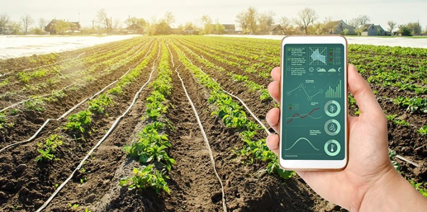 What are The Top 10 Agriculture Software for Modern Farming Success