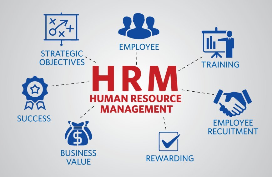 Top 10 Human Resource Software to Streamline HR Management