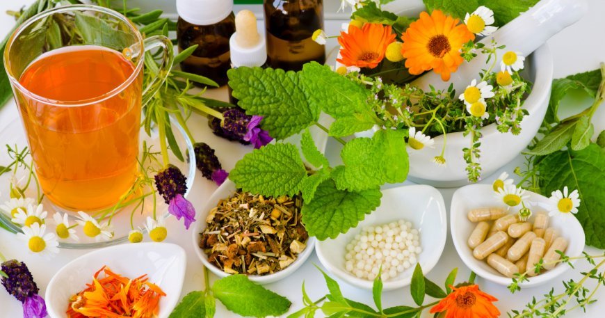 Best 10 Natural Remedies That May Support Cancer Recovery