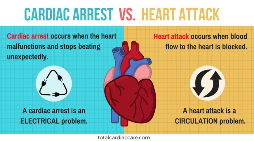 Heart Attack vs. Cardiac Arrest: What’s the Difference?