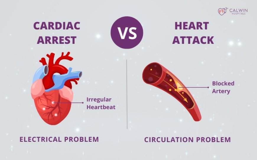 Cardiac Arrest vs. Heart Attack: What’s the Difference