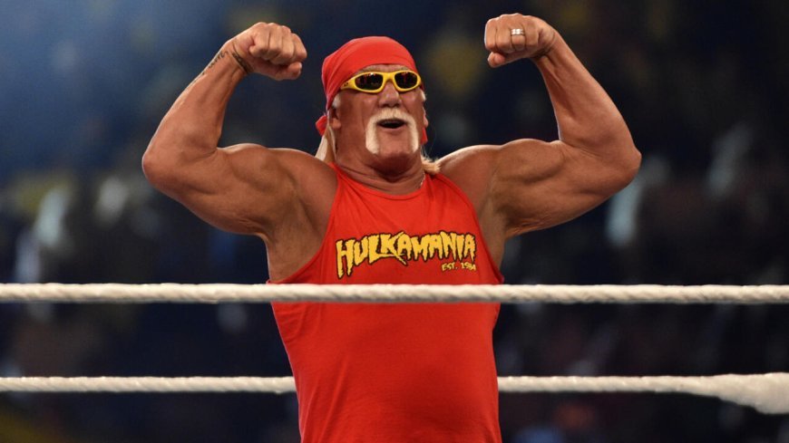 The Rise and Fall of Hulk Hogan
