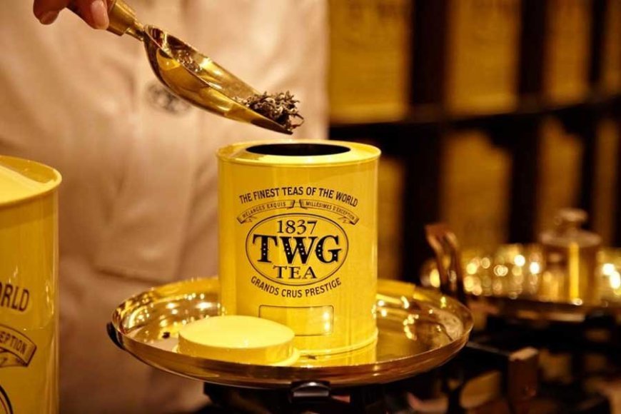 Top 10 World’s Rarest and Most Expensive Teas