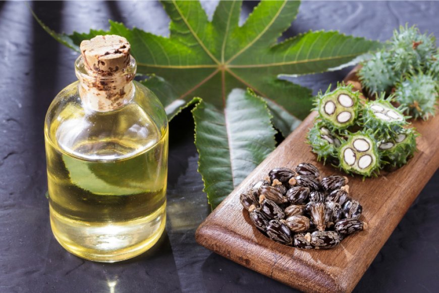 10 Amazing Castor Oil Benefits for Hair and Skin