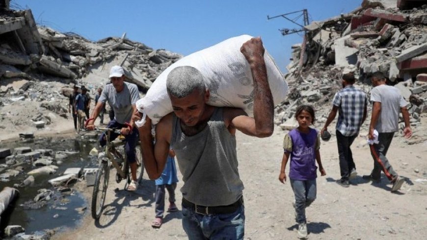 Global Reactions to the Gaza Crisis