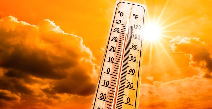 Extreme Heatwave 2025: Essential Survival Tips