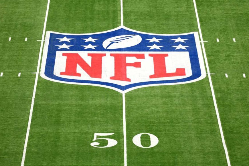 Inside the NFL: Details About America’s Favorite Sport