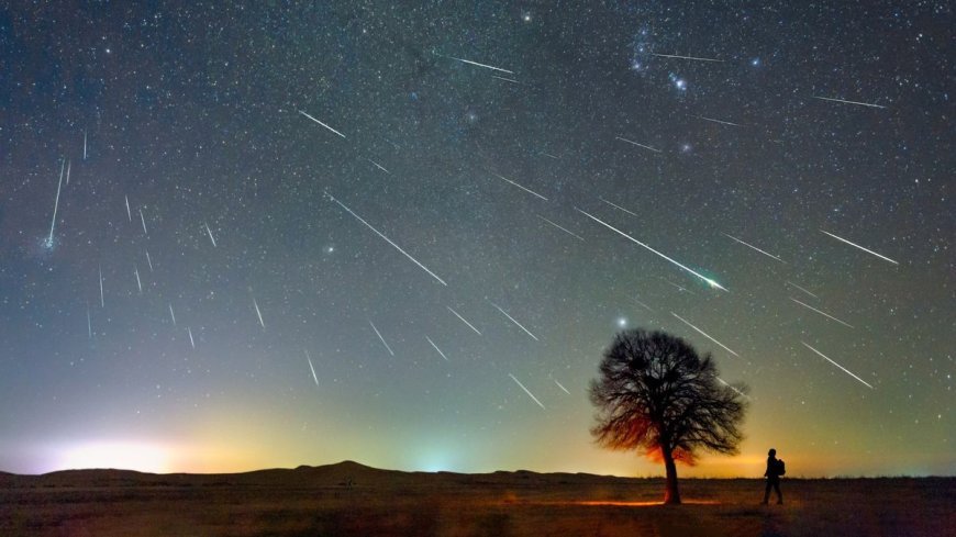 What Time Is the Meteor Shower? Here Are the Details